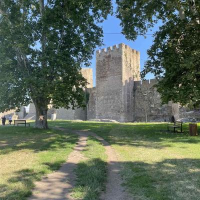 Smederevska Tvrdjava 1